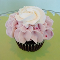 <span>Cupcakes</span>  
